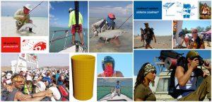 Collage. Ways the global Buff® community loves to wear the Coolnet UV+ Buff®
